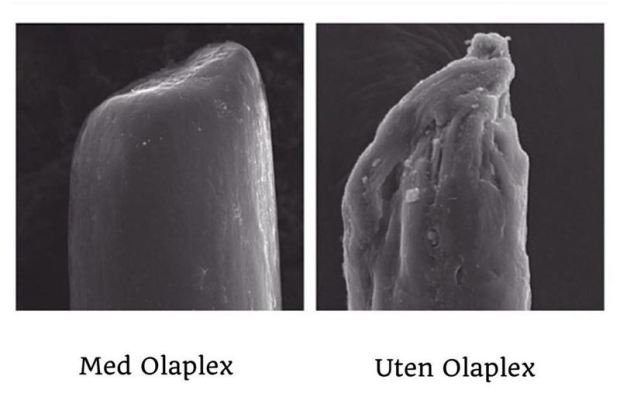 2015041622342582668-42