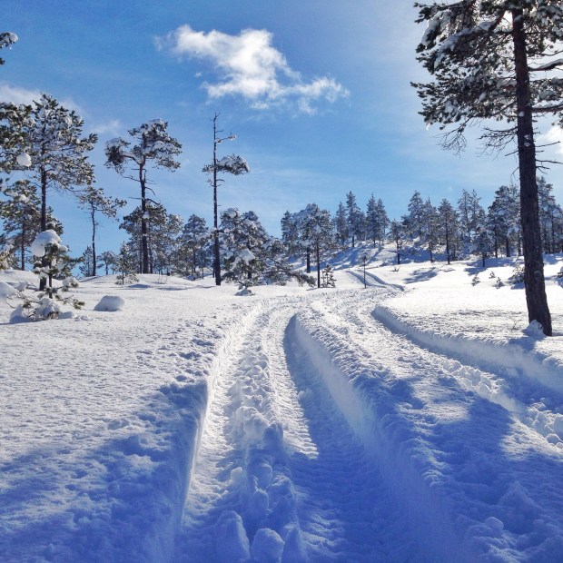 Bilde 23.03.2016, 12.26.25 (2)