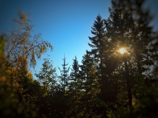 Processed with Snapseed.