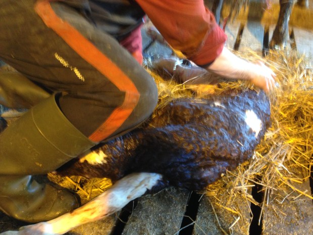 Bilde 30.04.2017, 16.08.42