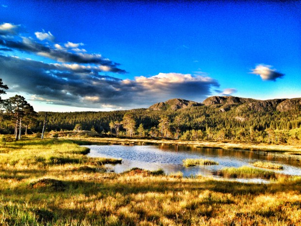 Bilde 23.07.2017, 21.20.18 (1)