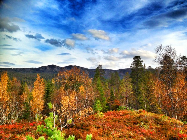 Bilde 30.09.2017, 14.07.47 (1)